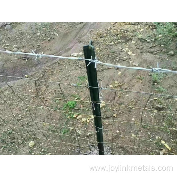 16 Gauge 500m barbed wire